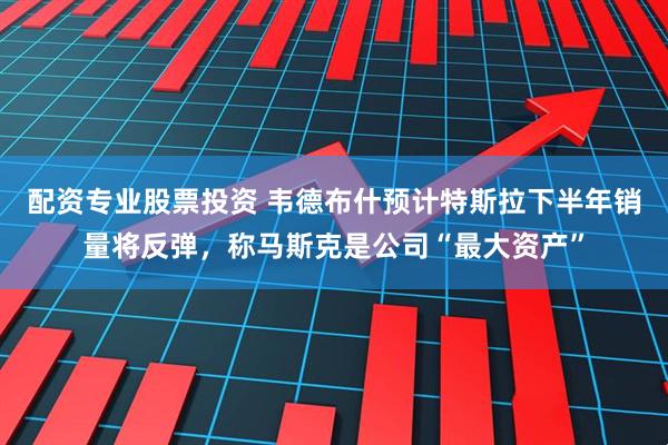 配资专业股票投资 韦德布什预计特斯拉下半年销量将反弹，称马斯克是公司“最大资产”
