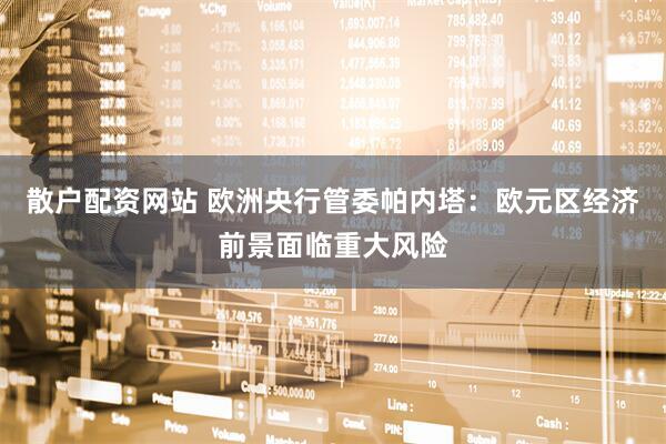 散户配资网站 欧洲央行管委帕内塔：欧元区经济前景面临重大风险