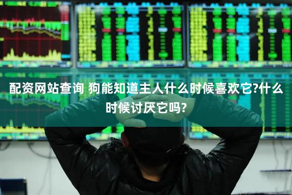 配资网站查询 狗能知道主人什么时候喜欢它?什么时候讨厌它吗?